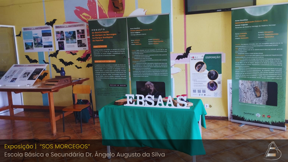 Exposição morcegos