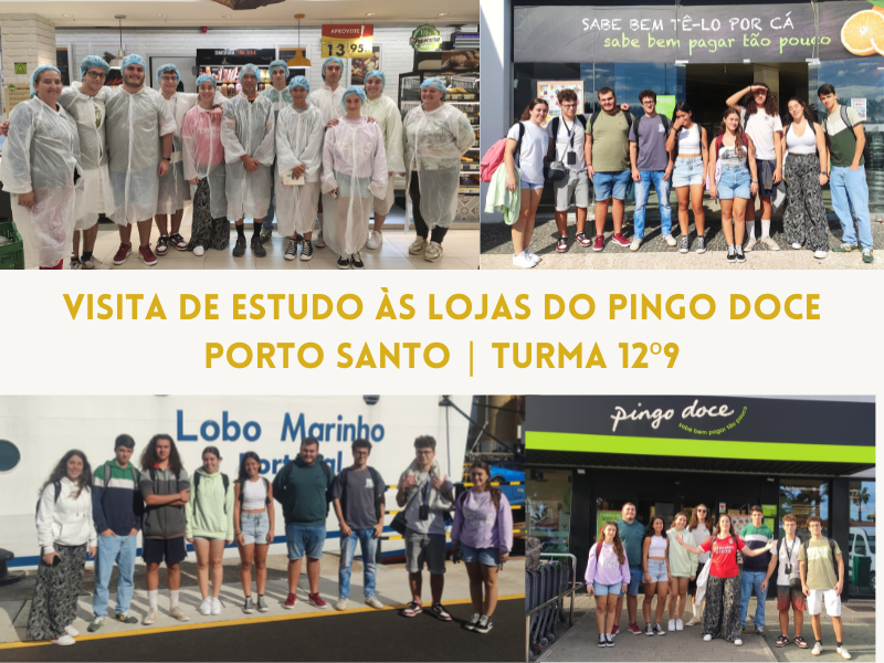 VISITA DE ESTUDO ÀS LOJAS DO PINGO DOCE PORTO SANTO